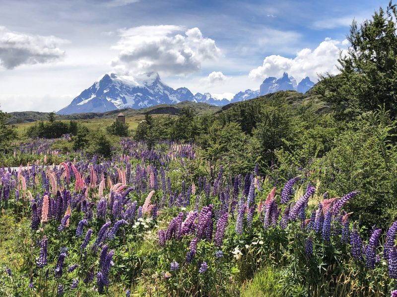 Yes, you can take a baby to Patagonia – aquahaus